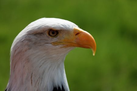 【アメリカを読み解く】地政学的視点とフロンティア精神がキーワード