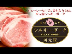 大戸屋が使用している「シルキーポーク（四元豚）」